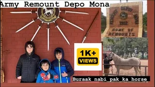 Army remount Depo Mona || Land of horses 🐎 🎠🏇||  winter vocation diaries part 1