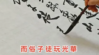 菜根譚「琴書詩畫.達士以養性靈...」書法家 葉泉力 書寫