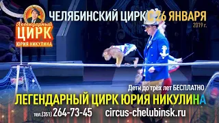 Цирк Никулина Челябинск