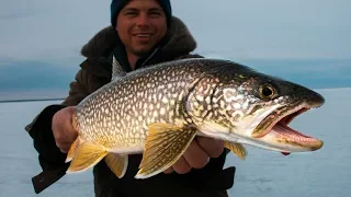 ice fishing TROUT!!! (Clearwater Lake, Manitoba)