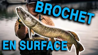 Pêche du BROCHET aux leurres : ATTAQUE en SURFACE | 2019