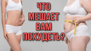 Что мешает Вам похудеть? Про самые популярные мифы о похудении, пищевое поведение, диеты и не только