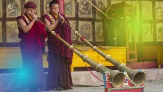 Tibetan Buddhist Chants of Namgyal Monastery | Clean Negative Energy
