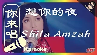 (你来唱) 想你的夜 Shila Amzah  伴奏／伴唱 Karaoke 4K video