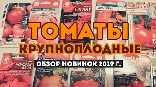 Крупноплодные сорта томатов на 2019 г. Урожайные Новинки!