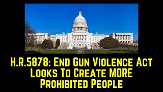HR5878: End Gun Violence Act of 2021 to Add MORE Prohibited People