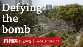 Hiroshima: The trees that survived an atomic bomb - BBC World Service