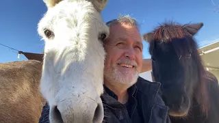 Never work with Donkeys *OUTTAKES*