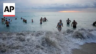 Floridians celebrate Groundhog Day with swim