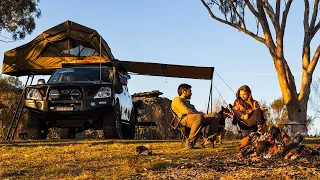 Truck Camping on a Mountain with our Dog | Cozy Winter Camp | Campfire Pizza | ASMR