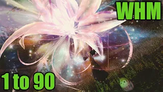 FFXIV: Endwalker Conjurer/White Mage 1 to 90 Leveling Skills Guide