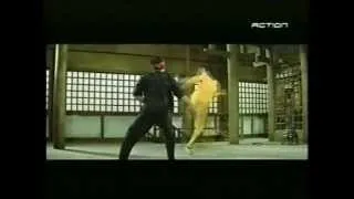 Bruce lee, les vrais combats du jeu de la mort sans doublure ni trucages ...