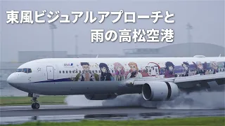 東風ビジュアルアプローチと雨の高松空港｜takamatsu airport｜aviation｜spotting｜鬼滅の刃 じぇっと‐弐-｜boeing767｜ja608a｜ANA