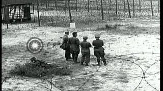 German prisoners of war are segregated and marched to stockade area. HD Stock Footage