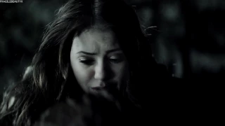 stefan + elena | a thousand years (1x01-8x16)