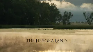 Heal Your Past Life Trauma ∙ The Heyoka Land⎮Kryon Late Night Series