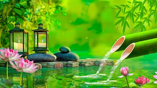 Healing Music for Anxiety Disorders , Reduce Stress, Calming Music, Meditation Music, Nature Sounds