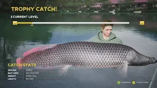 560lb Cobra Trophy Catch | Gillhams Fishing Resort | Fishing Sim World Pro Tour