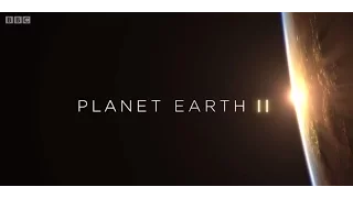 Planet Earth II Theme (BBC - Hans Zimmer)