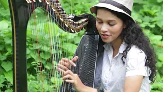 DESPACITO (Harp Cover) Meagan Pandian