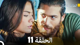 مسلسل الطائر المبكر الحلقة 11 (Arabic Dubbed)