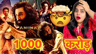 1000 Crore Lading - Animal Box Office Collection REACTION | Deeksha Sharma