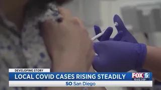 Local COVID Cases Rising Steadily