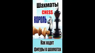 #Shorts Шахматы для начинающих. Как играть в шахматы. Как ходят фигуры в шахматах. КОРОЛЬ