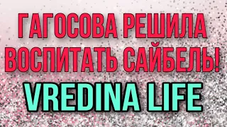 ВРЕДИНА ПРИПЁРЛАСЬ НА КАНАЛ САЙБЕЛЬ.