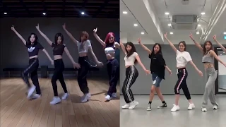 YOONA vs BLACKPINK - DDU-DU DDU-DU [Dance Practice]