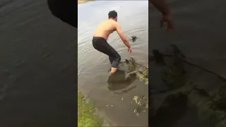 Adorable Koala Bear Is Saved From Drowning In River