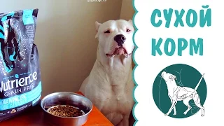 Выбор сухого корма для собак | кормление собак | сухой корм для собак