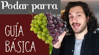 🍇UVAS🍇 Cómo PODAR PARRA - Cuidados VID, uva blanca y uva morada