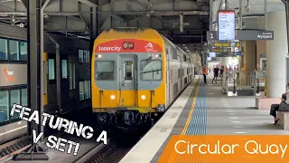 Sydney Trains Vlog 1886: Circular Quay - Rare Sighting!