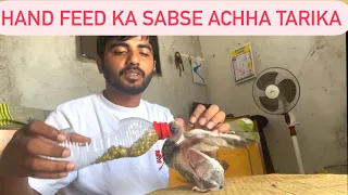 How to hand feed baby pigeon | best way to feed baby pigeon | kabutar ke bache ko kese khana khilaye