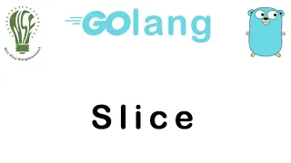 11 | Slice in Go Lang | Go Tutorial | Go Lang Programming