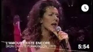 Céline Dion - Most Performed Song From Each Era! (French)