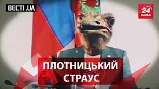 Вєсті.UA. Страус Плотницький