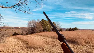 WHITETAIL DEER HUNTING MISSOURI RIFLE SEASON 2019/PASSING ON A SMALL BUCK