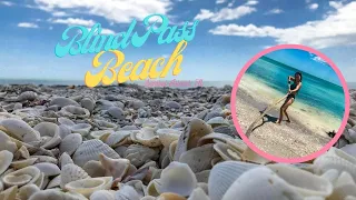 Blind pass beach park Sanibel Island | Best Florida Beaches