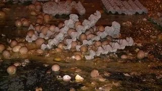 French farmers smash eggs in protest over low prices