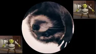 Pedro Pedro Pedro Racoon Meme (Weird Edition)