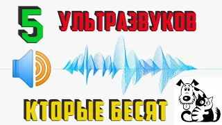 ✅УЛЬТРАЗВУК Будет бесить КОШЕК И СОБАК  Раздражают ПРИКОЛ