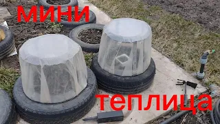 Такой теплицы ты ещё не видел!  mini greenhouse #самоделки #своимируками #садиогород