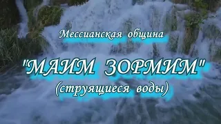 2024.06.01_Страховка Вечной Жизни