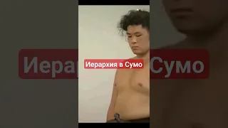 Дедовщина у борцов Сумо