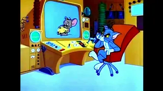 TOM and JERRY Guided Mouse ille