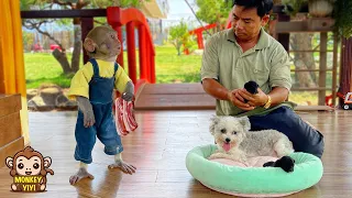 Nanny YiYi helps grandpa buy meat to cook lunch for the puppies