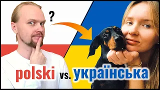 Polish Ukrainian Mutually Intelligible? | Animals | Slavic Languages Comparison