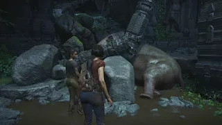 Uncharted The Lost Legacy - Chapter 6: Chloe & Nadine Free Trapped Elephant, Ride & Feed Sequence